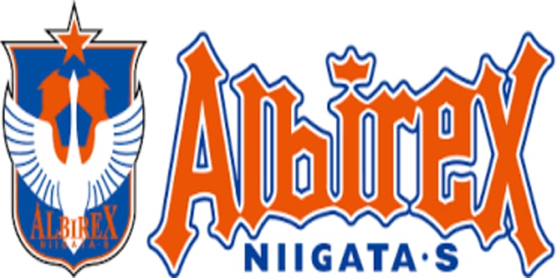 Albirex Niigata: Hành Trình Vươn Lên của đội bóng Nhật Bản